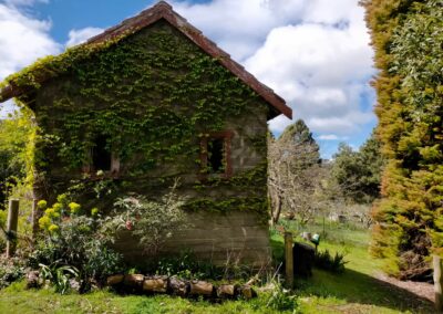 A stone cottage almost entirely covered in green ivy, under a blue sky