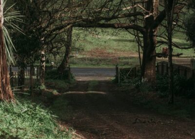 A dirt track curving away beneath tall trees and a wooden fence